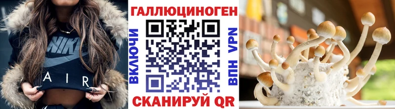 Псилоцибиновые грибы Psilocybe даркнет Telegram Волчанск